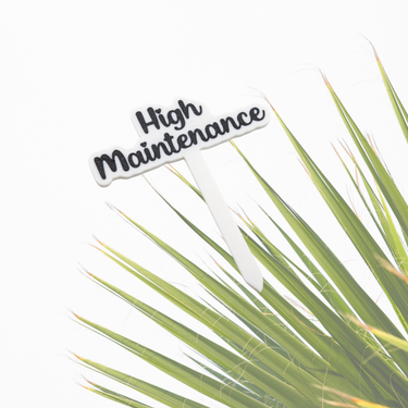 Sassy Plant Stakes - Unicorn Fart Productions